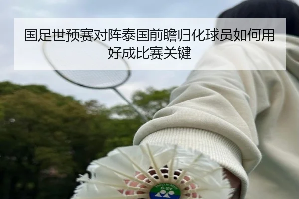 国足世预赛对阵泰国前瞻归化球员如何用好成比赛关键
