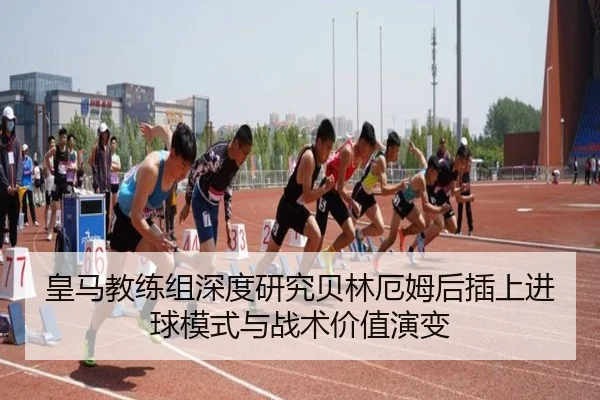 img_1781786625662_3485_1_528.jpg
